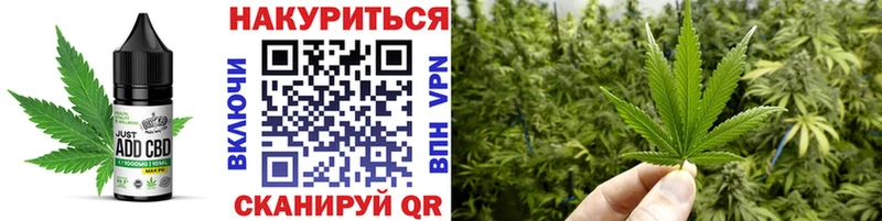 купить   Благодарный  Cannafood конопля 