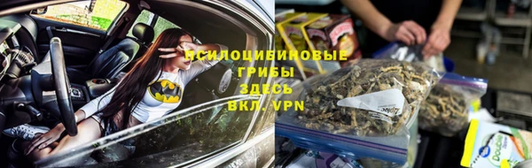 эйфоретик Абинск