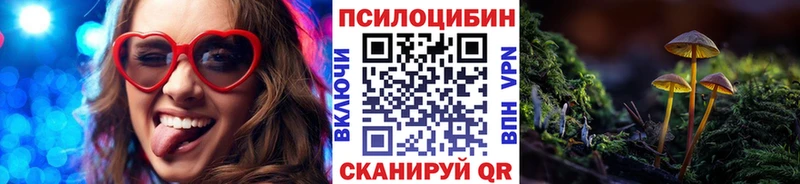 дарк нет Telegram  Благодарный  Псилоцибиновые грибы мицелий  продажа наркотиков 