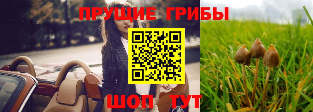 купить   Вход с VPN  Псилоцибиновые грибы прущие грибы  Благодарный  Псилоцибиновые грибы ЛСД 